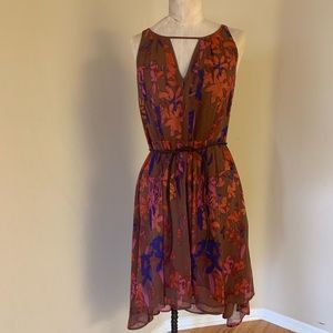 HINGE Floral Dress (Size 2-4)